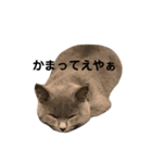 ムロとウリ②（個別スタンプ：7）