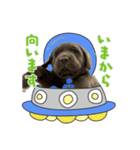茶らぶのスタンプ（個別スタンプ：4）