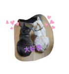 いとおとびーと❤️（個別スタンプ：4）