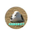 数のりんご（個別スタンプ：1）