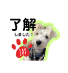 JAY #1（個別スタンプ：6）