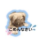 JAY #1（個別スタンプ：8）