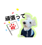 JAY #1（個別スタンプ：24）