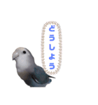 うちのインコ3（個別スタンプ：4）