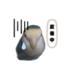 うちのインコ3（個別スタンプ：7）