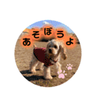 ばびんこスタンプ（個別スタンプ：3）