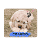 ばびんこスタンプ（個別スタンプ：5）