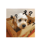 ばびんこスタンプ（個別スタンプ：11）