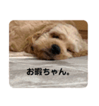ばびんこスタンプ（個別スタンプ：12）