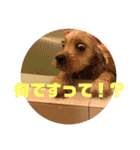 ばびんこスタンプ（個別スタンプ：23）