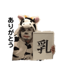 もすけ丑年（個別スタンプ：5）