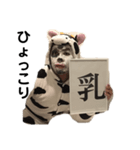 もすけ丑年（個別スタンプ：8）