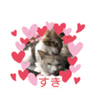 じごくぬこにゃりゅーぜすたんぷ（個別スタンプ：6）