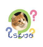 じごくぬこにゃりゅーぜすたんぷ（個別スタンプ：17）