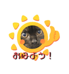 じごくぬこにゃりゅーぜすたんぷ（個別スタンプ：21）