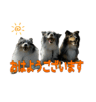 Treasure Family＆Friend（個別スタンプ：1）
