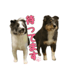 Treasure Family＆Friend（個別スタンプ：9）