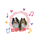 Treasure Family＆Friend（個別スタンプ：12）