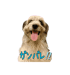 Treasure Family＆Friend（個別スタンプ：14）