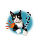 ベッキーと十兵衛（個別スタンプ：2）