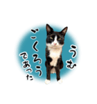 ベッキーと十兵衛（個別スタンプ：4）
