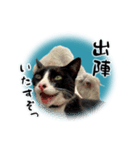 ベッキーと十兵衛（個別スタンプ：6）