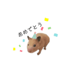 小動物シンプルスタンプ2（個別スタンプ：2）
