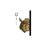 小動物シンプルスタンプ2（個別スタンプ：6）
