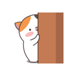 優しくて愛らしい猫（個別スタンプ：11）