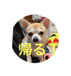 Masaki Family stamp1（個別スタンプ：5）