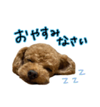 琥珀すたんぷ2（個別スタンプ：2）
