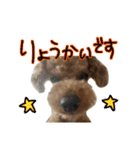 琥珀すたんぷ2（個別スタンプ：6）