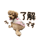 琥珀すたんぷ2（個別スタンプ：7）