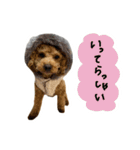 琥珀すたんぷ2（個別スタンプ：8）
