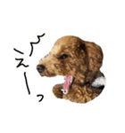琥珀すたんぷ2（個別スタンプ：11）