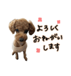 琥珀すたんぷ2（個別スタンプ：17）