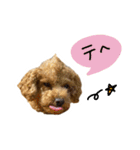 琥珀すたんぷ2（個別スタンプ：19）