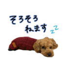 琥珀すたんぷ2（個別スタンプ：22）