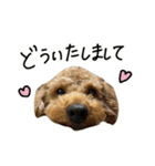 琥珀すたんぷ2（個別スタンプ：26）