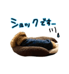 琥珀すたんぷ2（個別スタンプ：28）