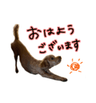 琥珀すたんぷ2（個別スタンプ：29）