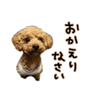 琥珀すたんぷ2（個別スタンプ：31）