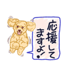 わんこ組  2番（個別スタンプ：16）