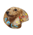 ぴーすたんぷー2（個別スタンプ：1）
