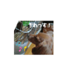 ぴーすたんぷー2（個別スタンプ：5）