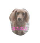 ぴーすたんぷー2（個別スタンプ：8）