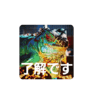 animal1（個別スタンプ：17）