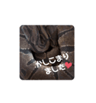 animal1（個別スタンプ：22）