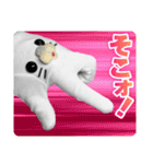 まいくとけん 【 Mike ＆ Ken 】（個別スタンプ：21）