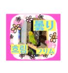 日本語と韓国語と天気（個別スタンプ：2）